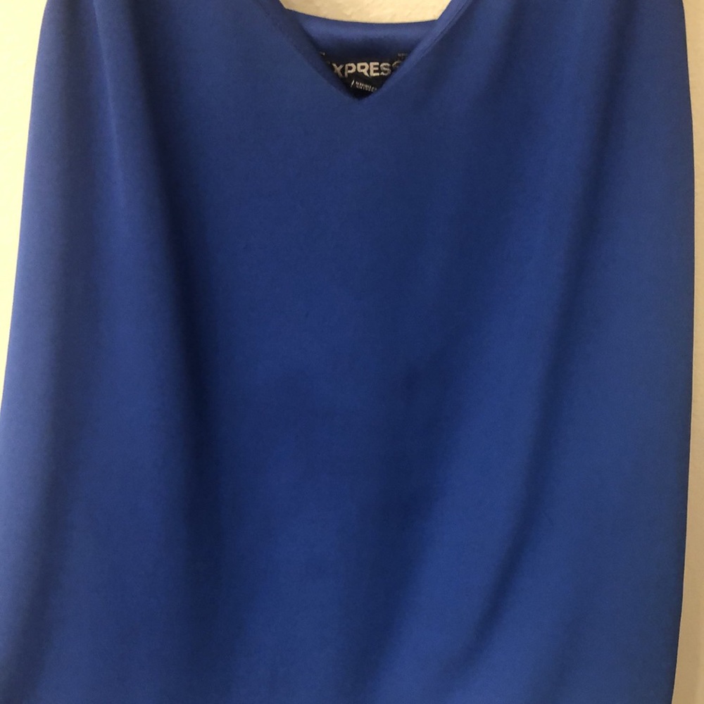 Blue Express Tanktop Size Medium - Picture 3 of 12
